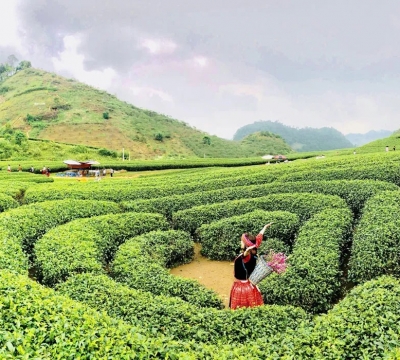 Vòng Cung Tây Bắc (5N4Đ): Mai Châu - Mộc Châu - Sơn La - Điện Biên - Lai Châu - SaPa