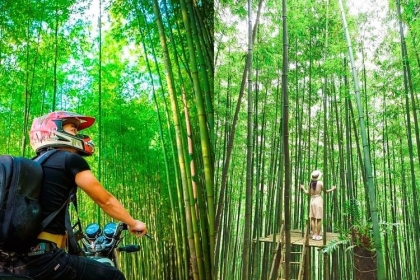 rừng trúc đẹp đẹp nhất việt nam