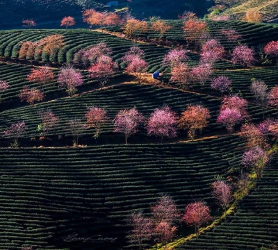 TOUR SAPA 2 DAY 1 NIGHT HOMESTAY TOUR SAPA 2 DAY 1 NIGHT HOMESTAY