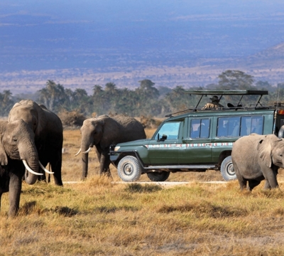  Tour du lịch Châu Phi